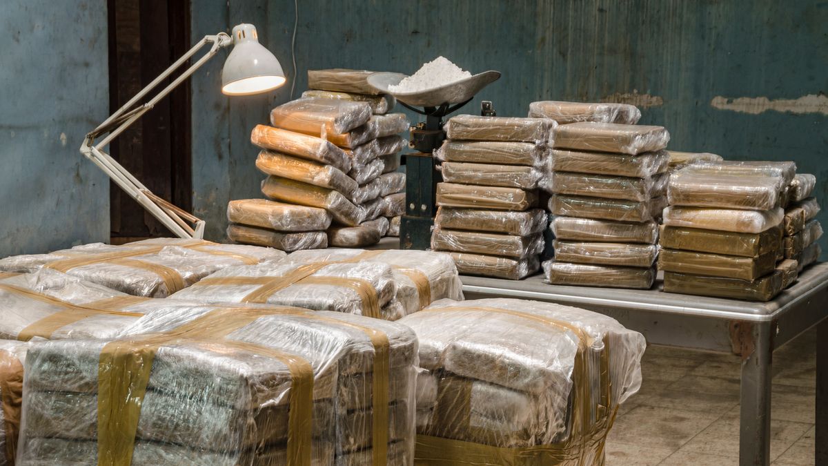 Zásilka z Ekvádoru: Policie v Portugalsku zabavila více než tunu kokainu